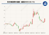 流动资金紧张 东方集团称无法按期归还6.29亿元募集资金