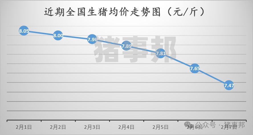 2月7日猪价汇总（跌势扩大，创近9个月新低！）