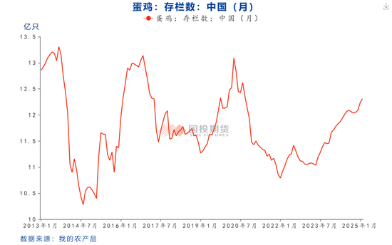 鸡蛋期货价格为何再下一城